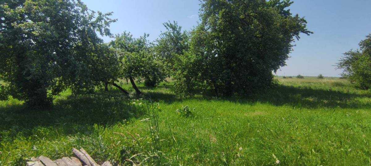 Продам дом в Слуцком районе в Греске, 11