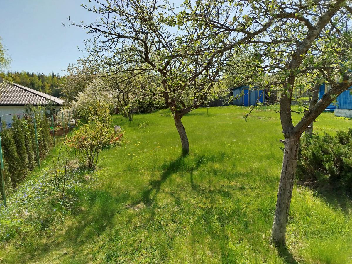 Продам дачу в Минском районе в Курганах в СТ