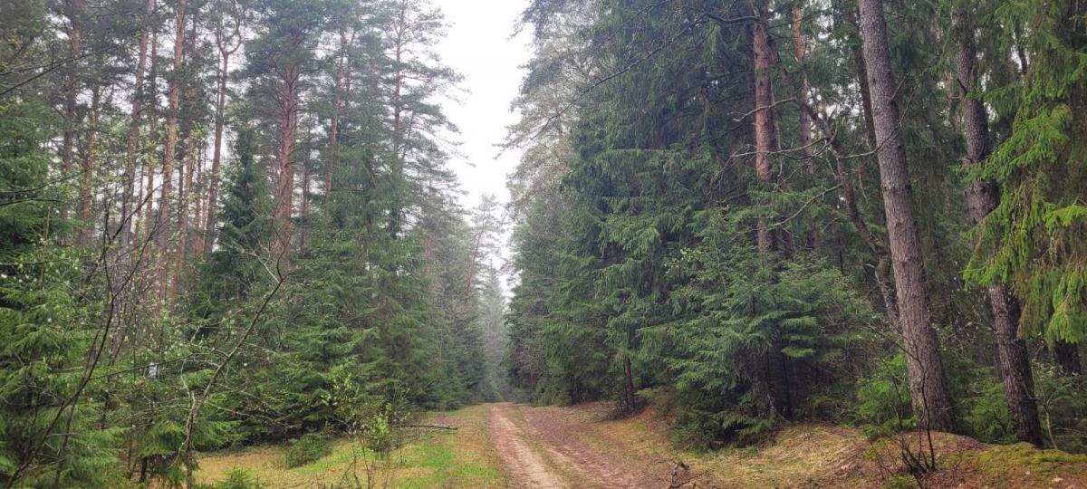 Продам 2-комнатную квартиру в Полоцке в мкр. Боровуха, Вологина ул., 361