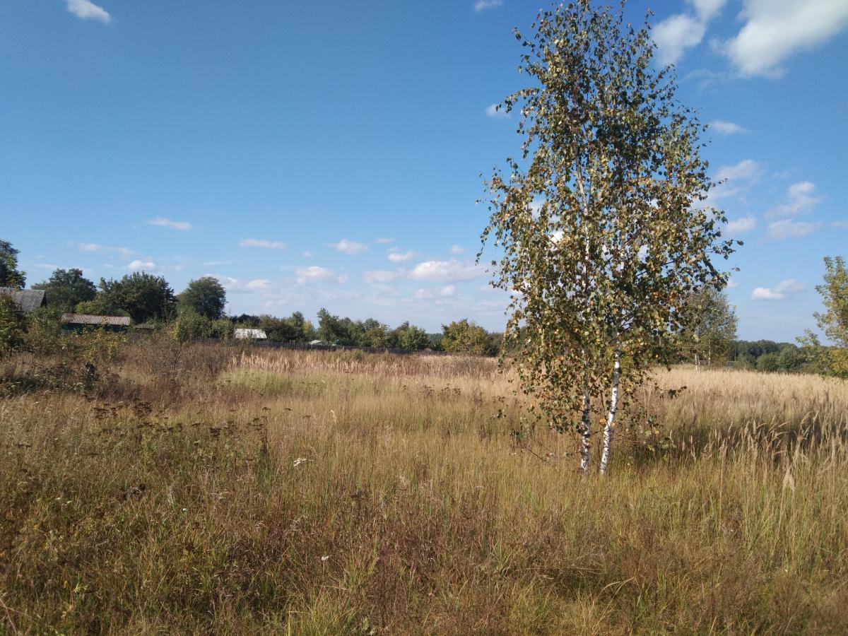 Продам дом в Речицком районе в Первомайск