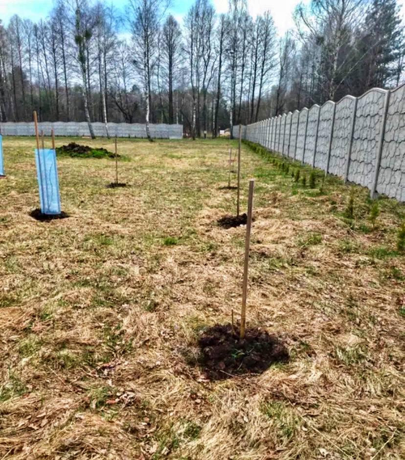 Продам участок в Гродненском районе в Поречье в СТ