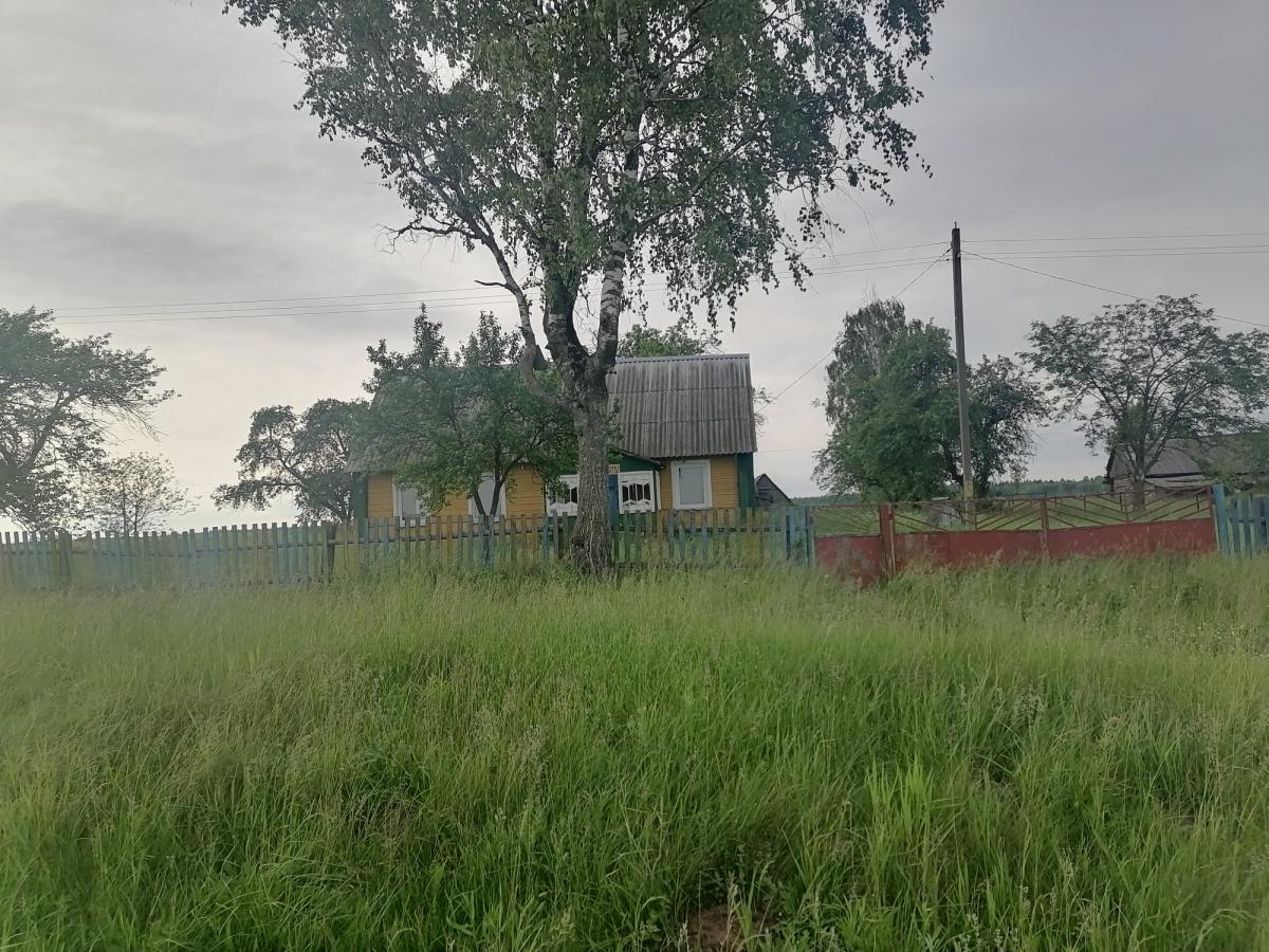 Продам дом в Столбцовском районе в Дружной