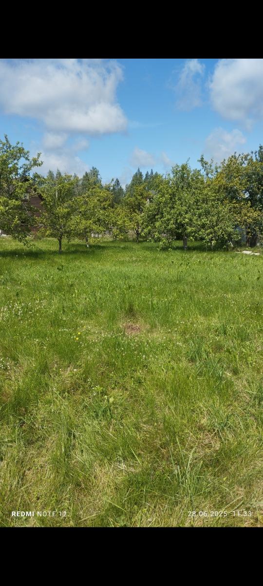 Продам участок в Смолевичском районе в Слободе в СТ 