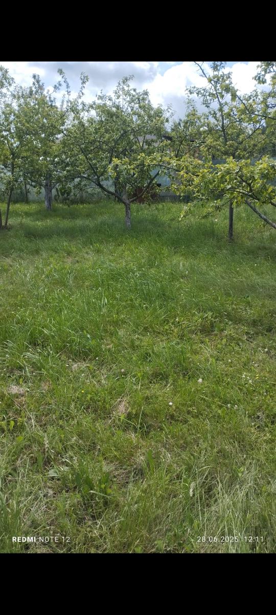 Продам участок в Смолевичском районе в Слободе в СТ 