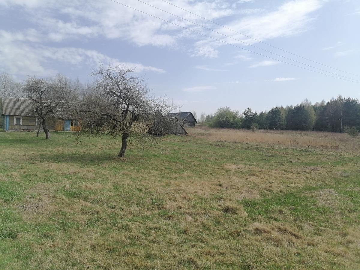 Продам дом в Столбцовском районе в Деревной