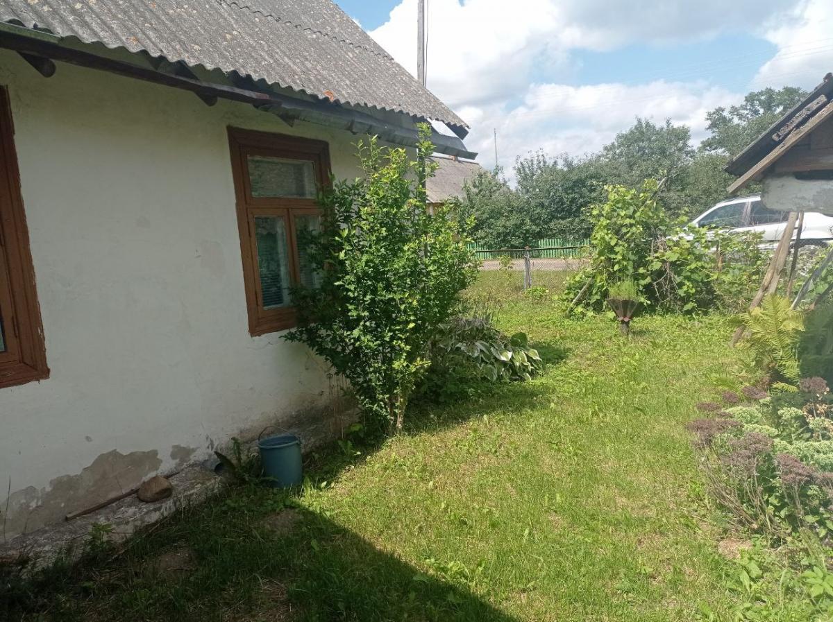 Продам дачу в Ивацевичском районе в Борки