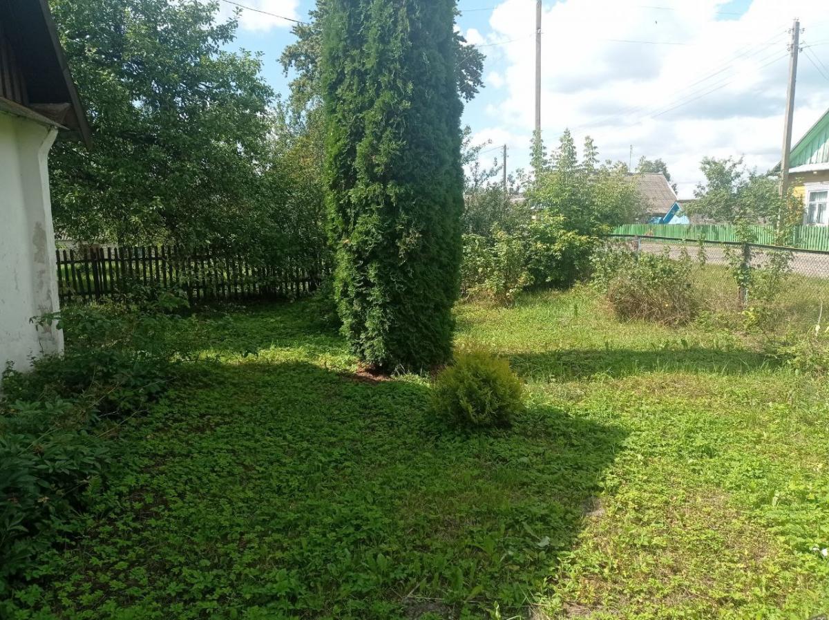 Продам дачу в Ивацевичском районе в Борки