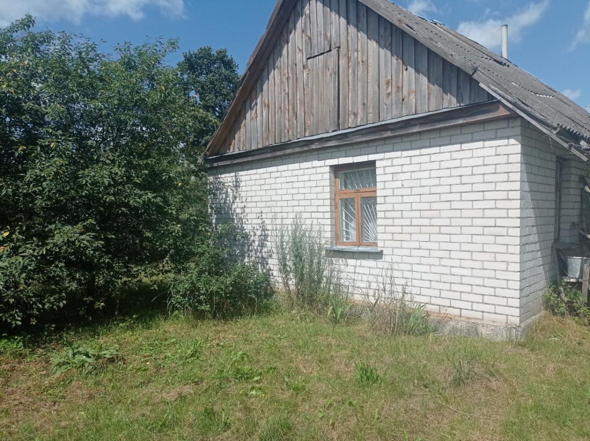 Продам дачу в Ивацевичском районе в Борки