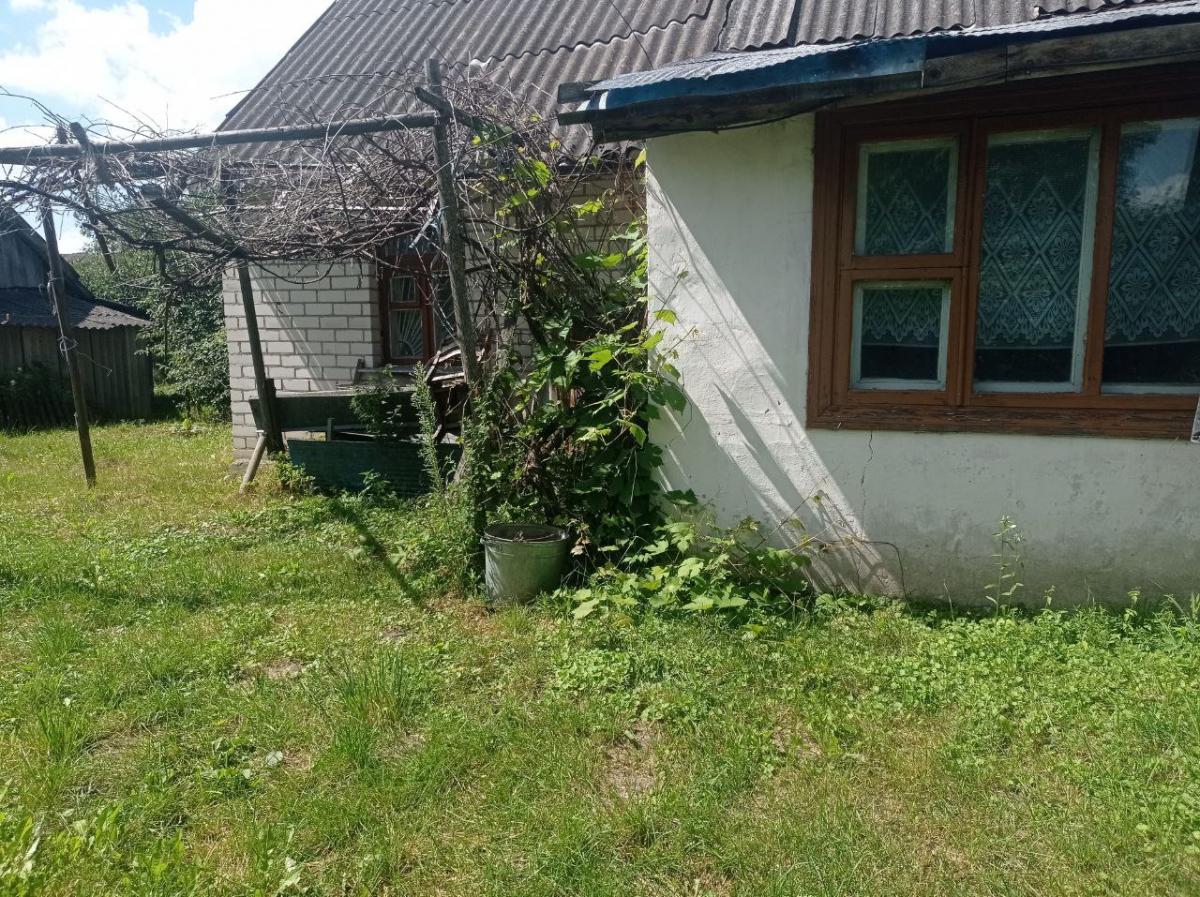 Продам дачу в Ивацевичском районе в Борки