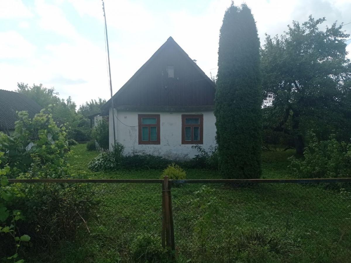 Продам дачу в Ивацевичском районе в Борки