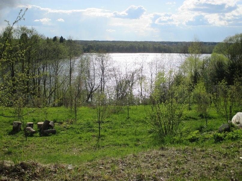 Продам участок в Ушачском районе в Плино