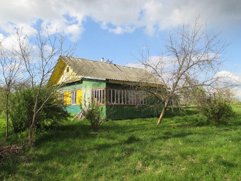 Продам участок в Ушачском районе в Плино