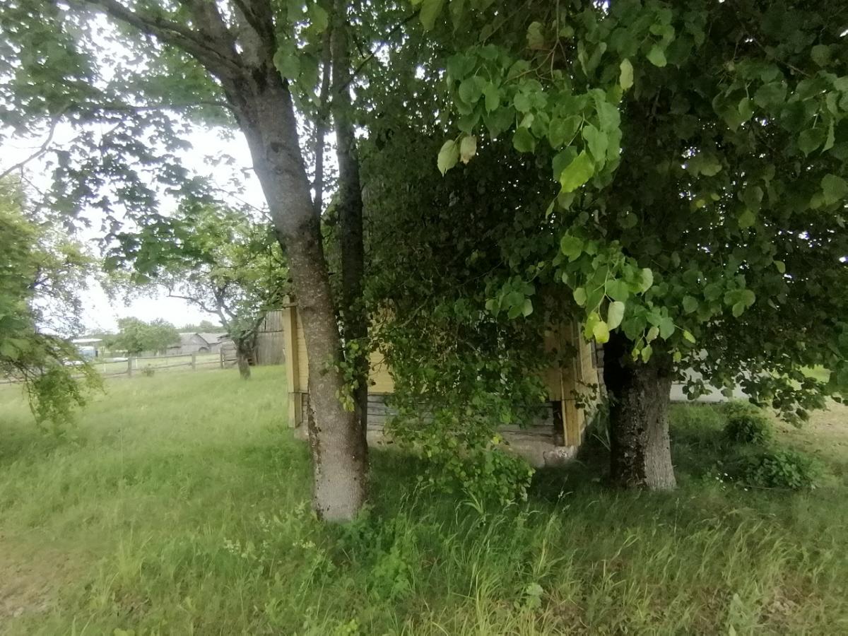 Продам дом в Столбцовском районе в Прудах