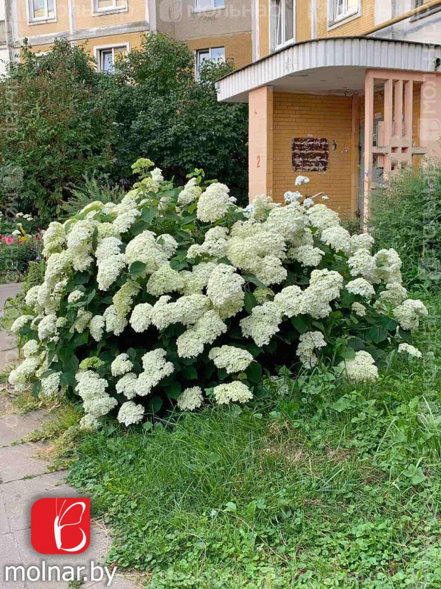 Продам 4-комнатную квартиру в Минске в Московском р-не, Малиновка, Громова ул., 22