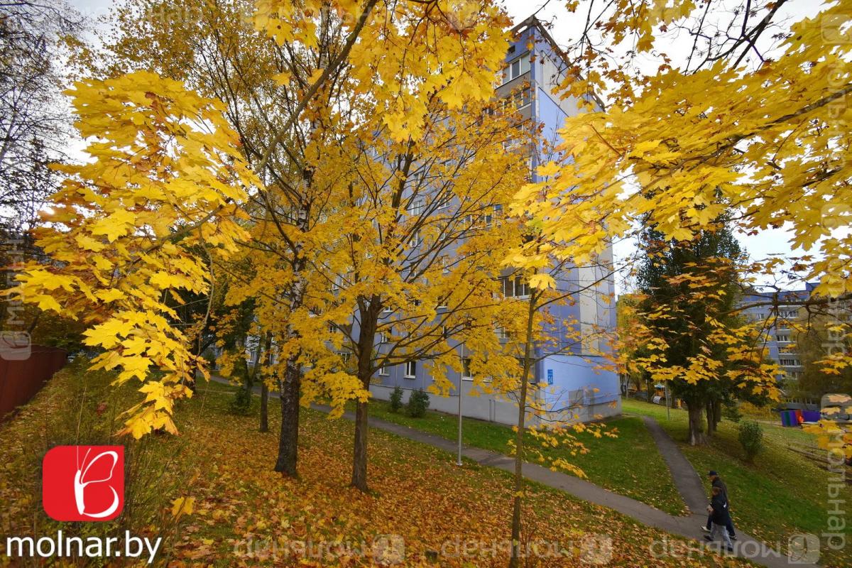 Продам 3-комнатную квартиру в Минске в Советском р-не, Зеленый луг, Гамарника ул., 24