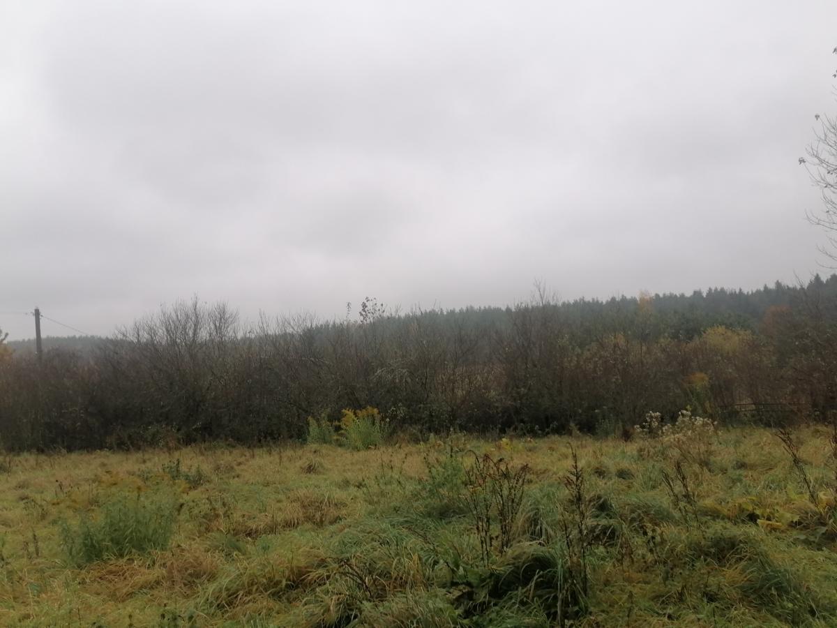 Продам дом в Воложинском районе в Кринице