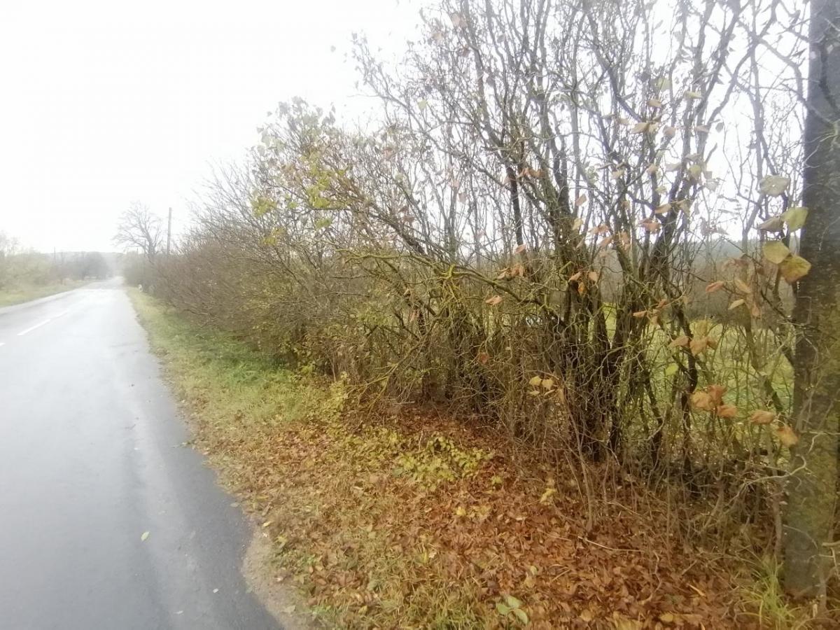 Продам дом в Воложинском районе в Кринице