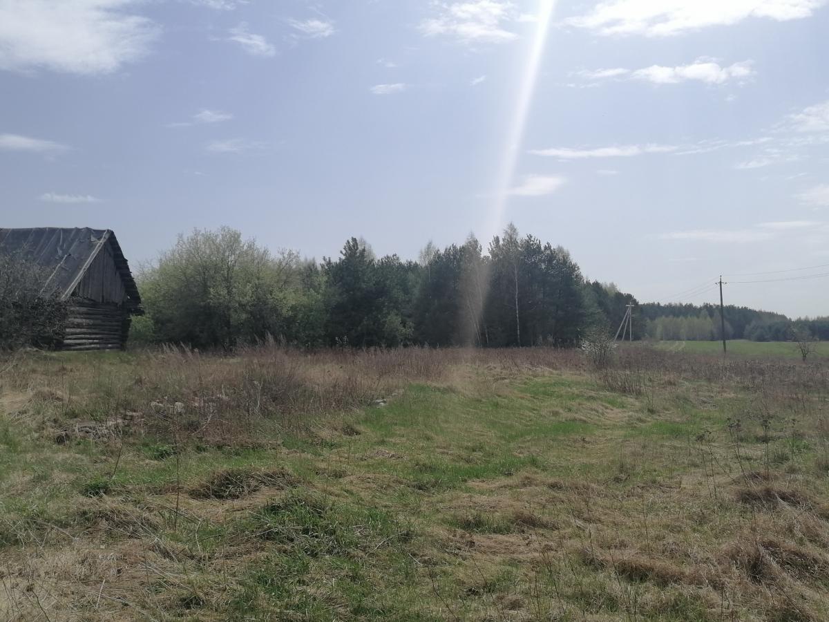 Продам дом в Столбцовском районе в Деревной