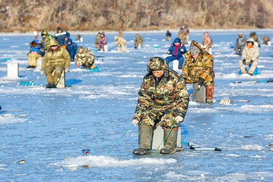 Коттедж «Гостевой дом 