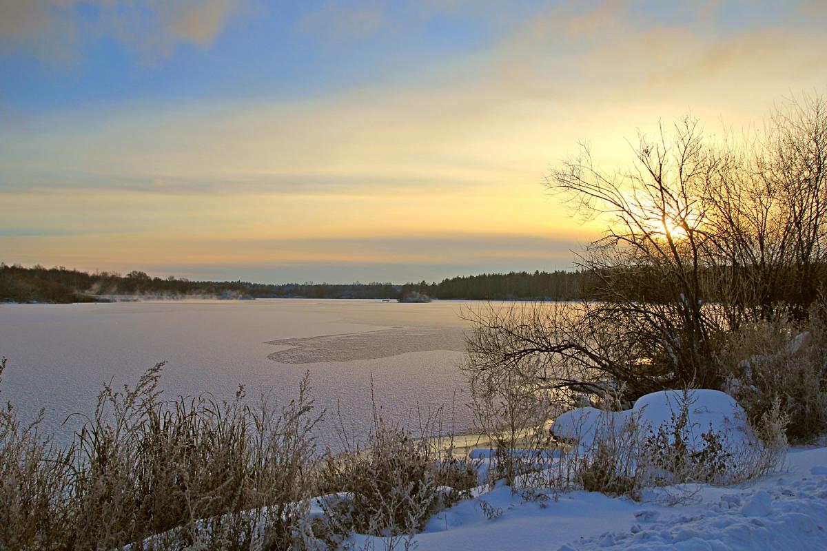 Коттедж «Гостевой дом 