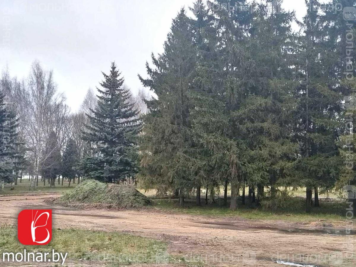 Продам 2-комнатную квартиру в Минске в Центральном р-не, 39