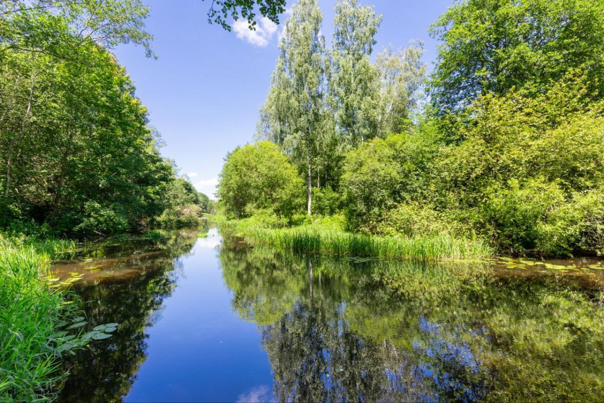 Коттедж «Тихое место»