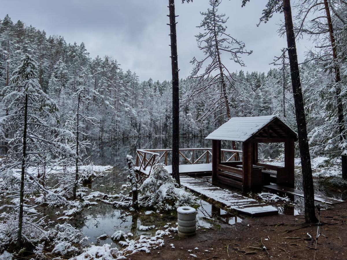 Коттедж «Голубые озёра»
