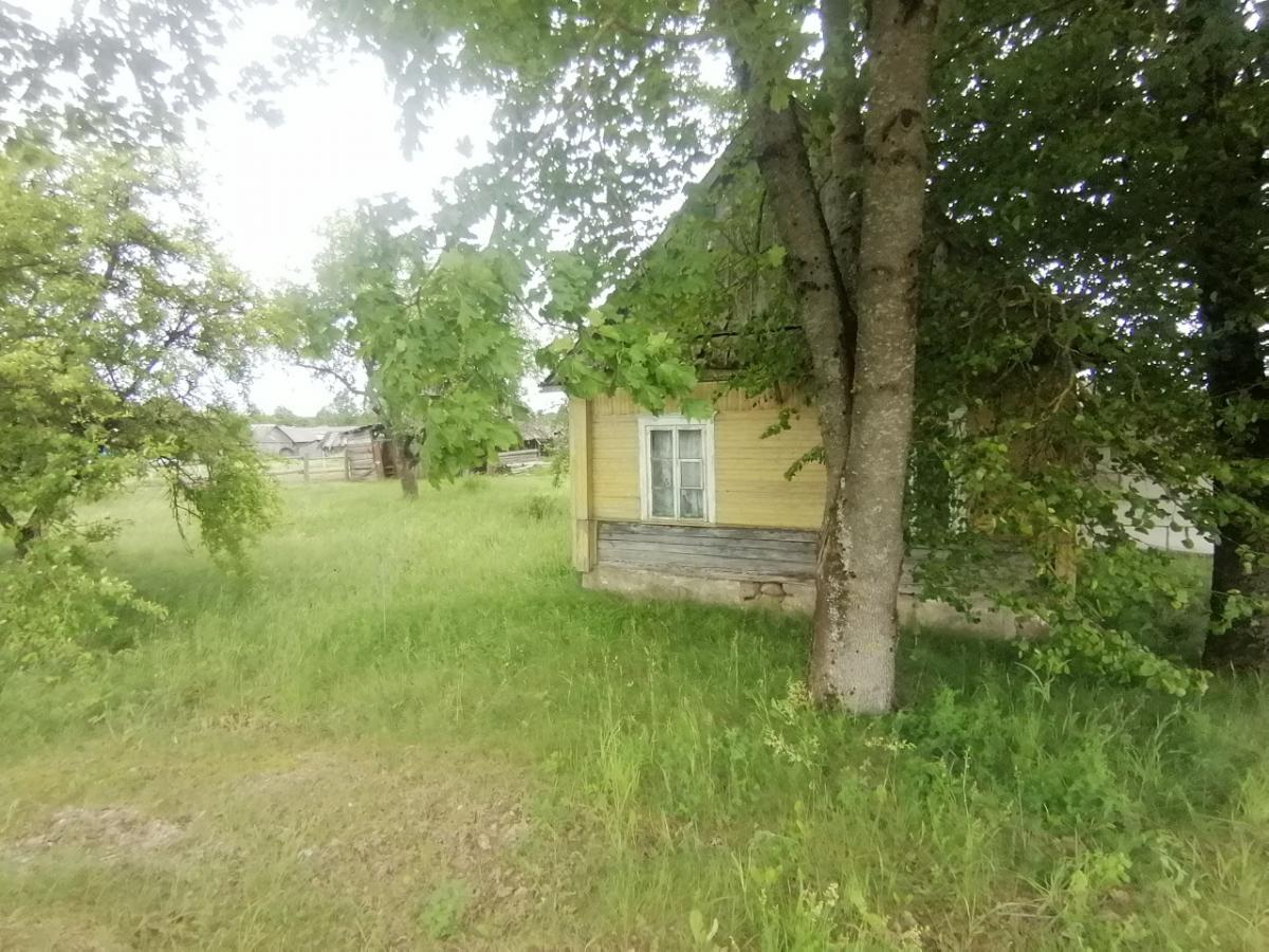 Продам дом в Столбцовском районе в Прудах