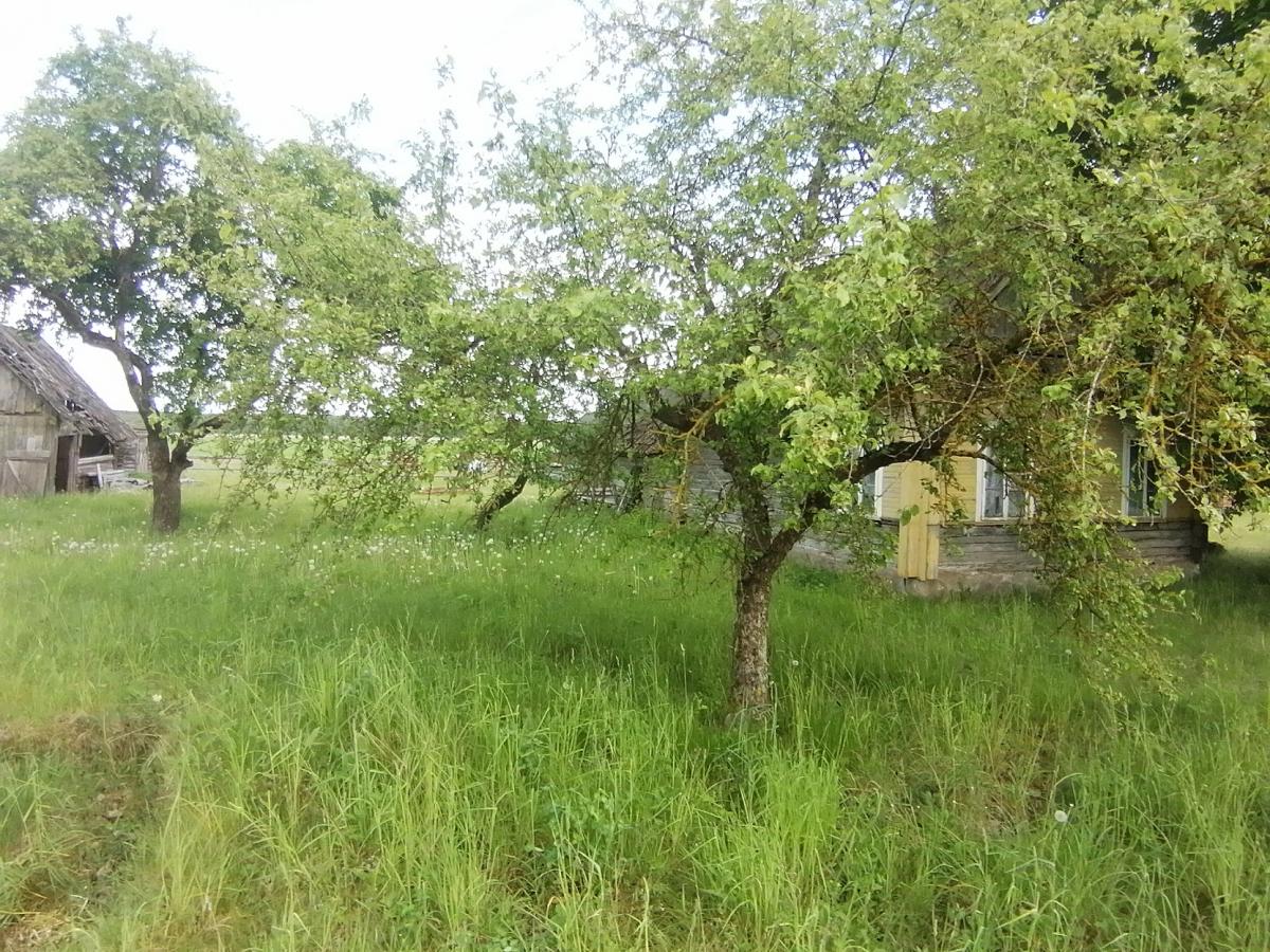 Продам дом в Столбцовском районе в Прудах