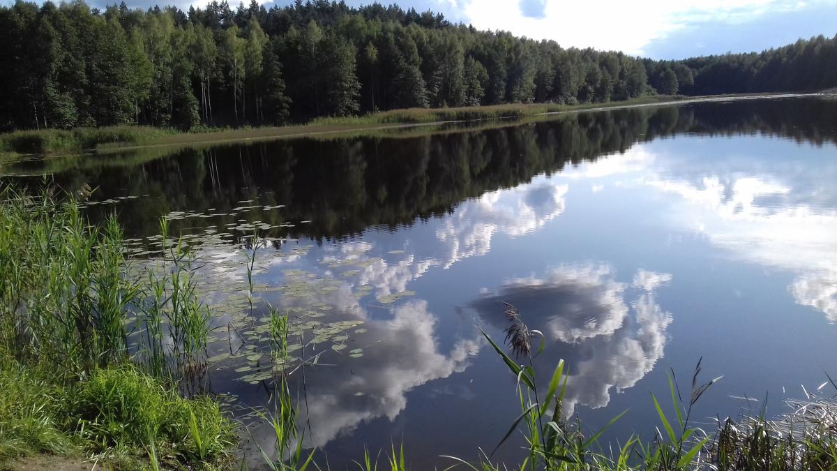 Продам дом в Столбцовском районе в Прудах