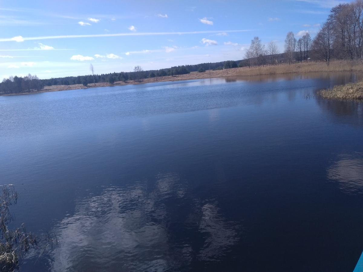 Продам дом в Столбцовском районе в Прудах