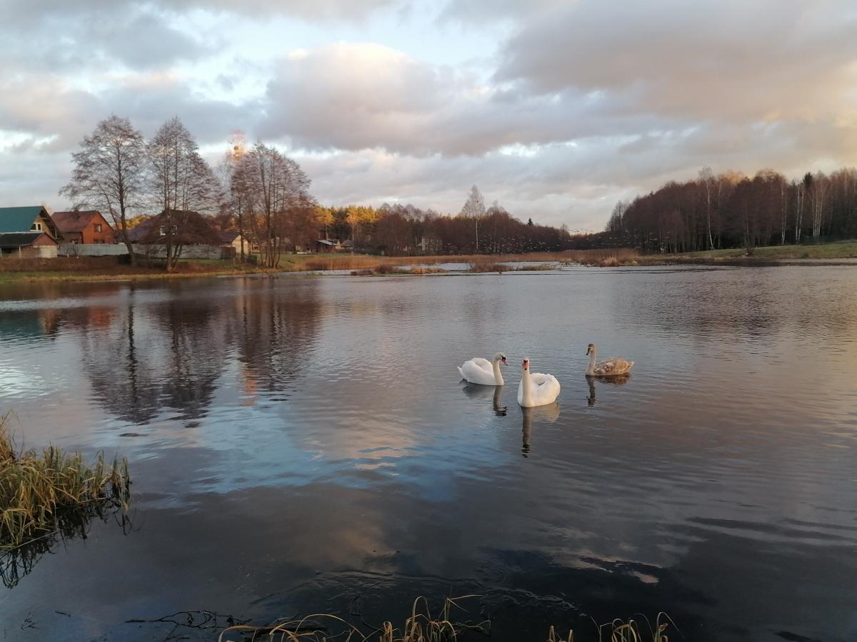 Продам дом в Столбцовском районе в Прудах