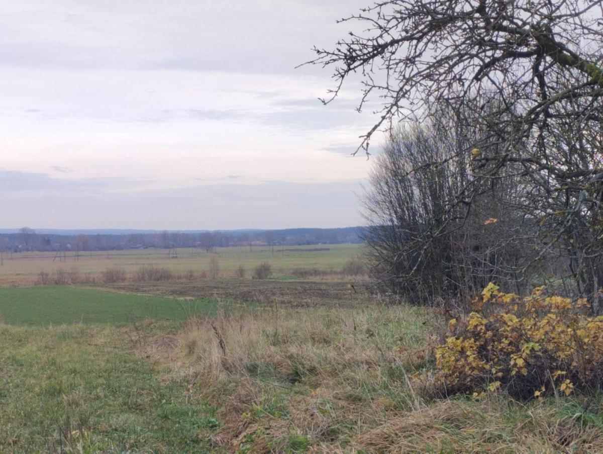 Продам дом в Воложинском районе в Кибах