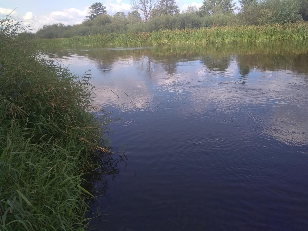 Продам дом в Воложинском районе в Кибах