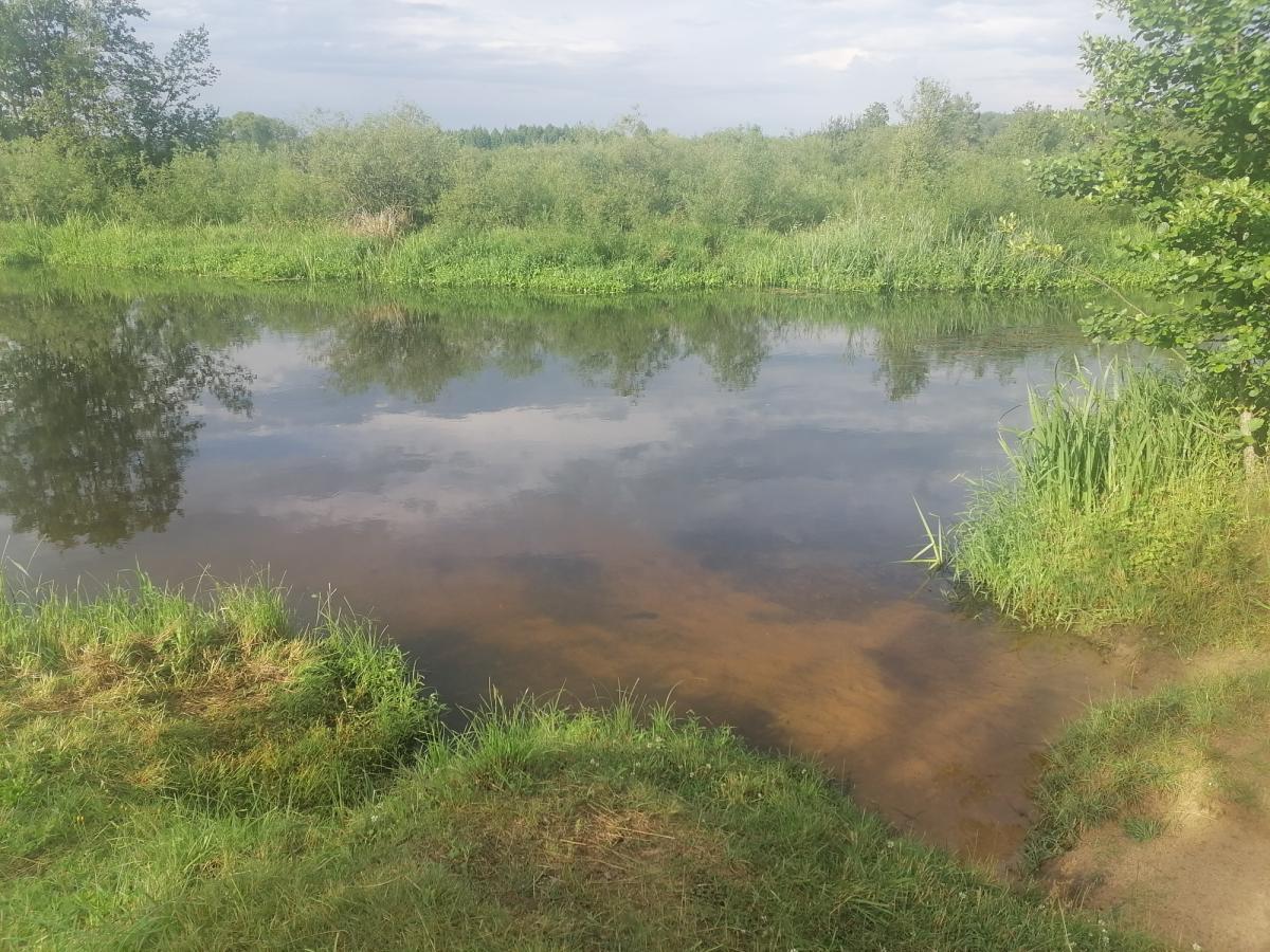 Продам дом в Воложинском районе в Кибах