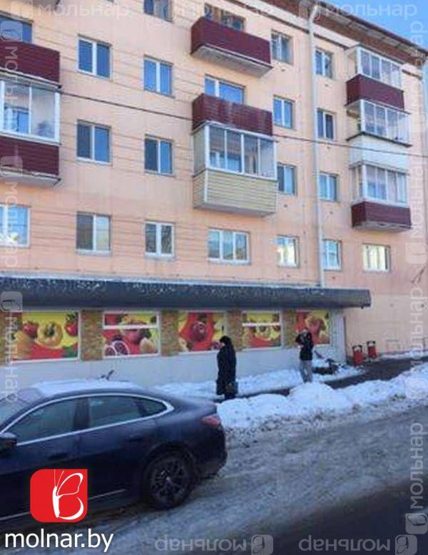 Продам 1-комнатную квартиру в Минске в Заводском р-не, Шарики, Тухачевского ул., 48