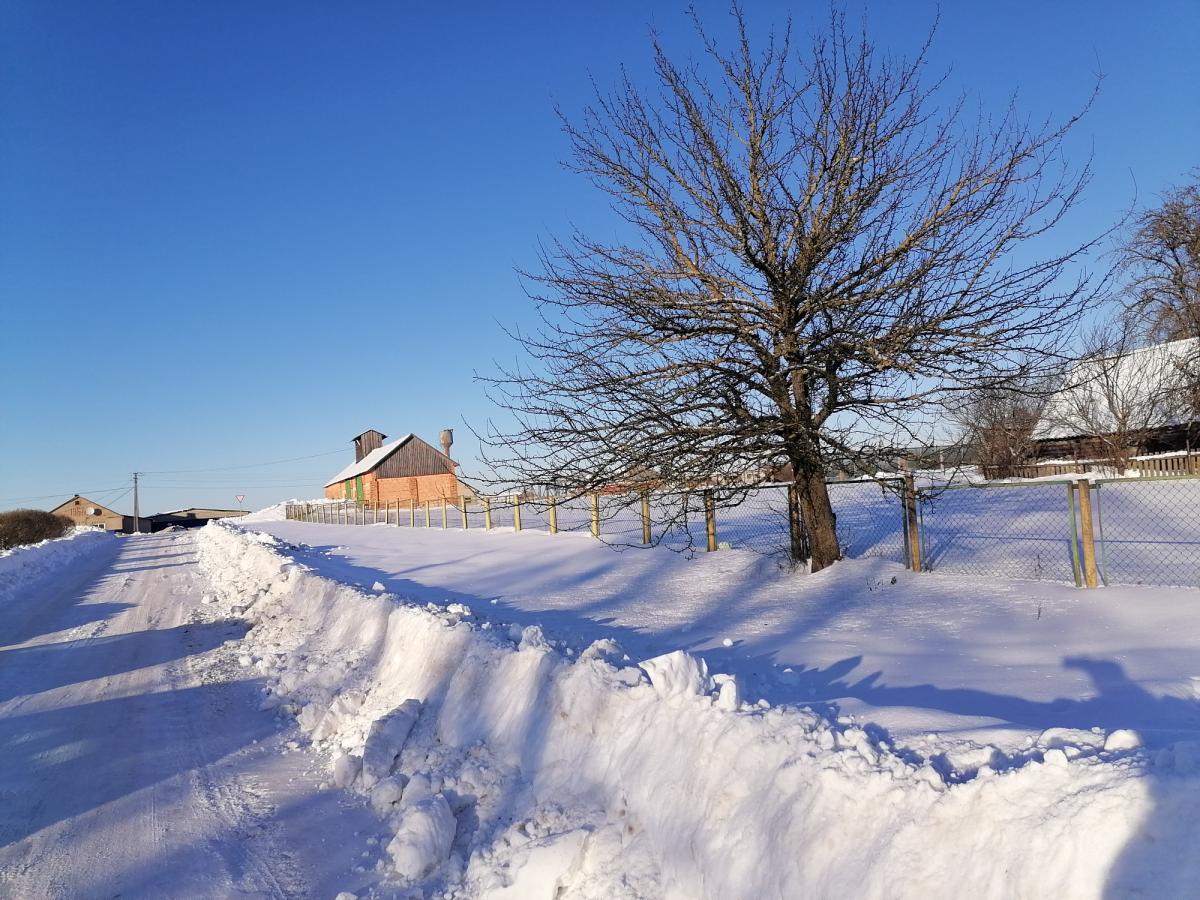 Продам дом в Столбцовском районе в Скоморошках
