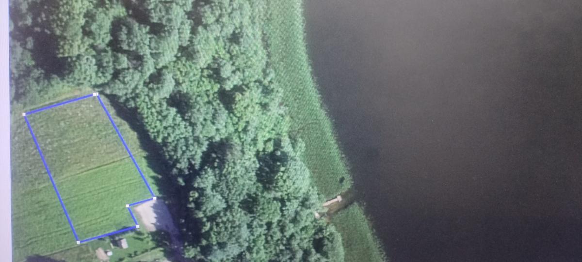 Продам участок в Шумилинском районе в Амбросовичи