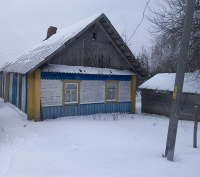 Продам дом  Минская область, Крупский р-н, Посемковичи, Московское направление, 160 км от МКАД