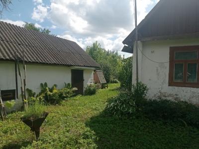 Продам дачу  Брестская область, Ивацевичский р-н, Борки