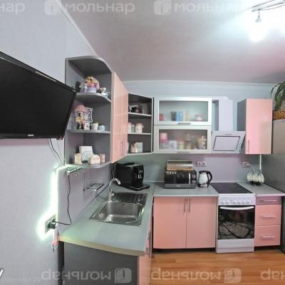 Продам 1-комнатную квартиру  Минск, Селицкого ул., 81, Заводской р-н, Шабаны